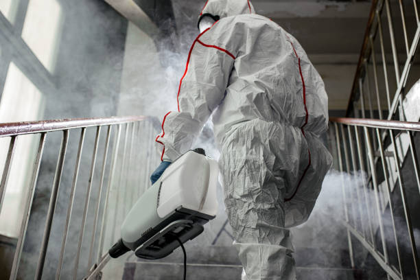 Trusted Walnut Ridge, AR Mold Removal Experts